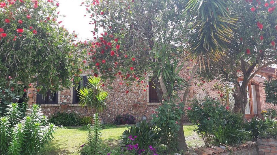 Luzzi Agriturismo Pingitore מראה חיצוני תמונה