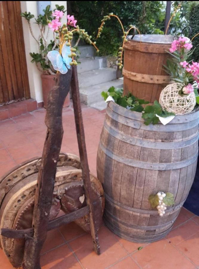 Luzzi Agriturismo Pingitore מראה חיצוני תמונה