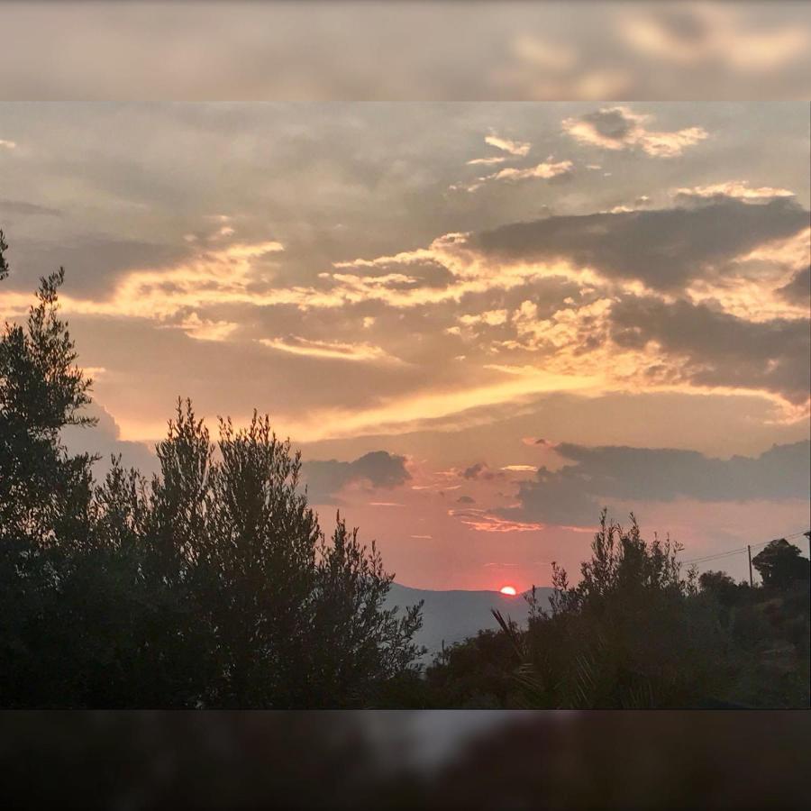 Luzzi Agriturismo Pingitore מראה חיצוני תמונה