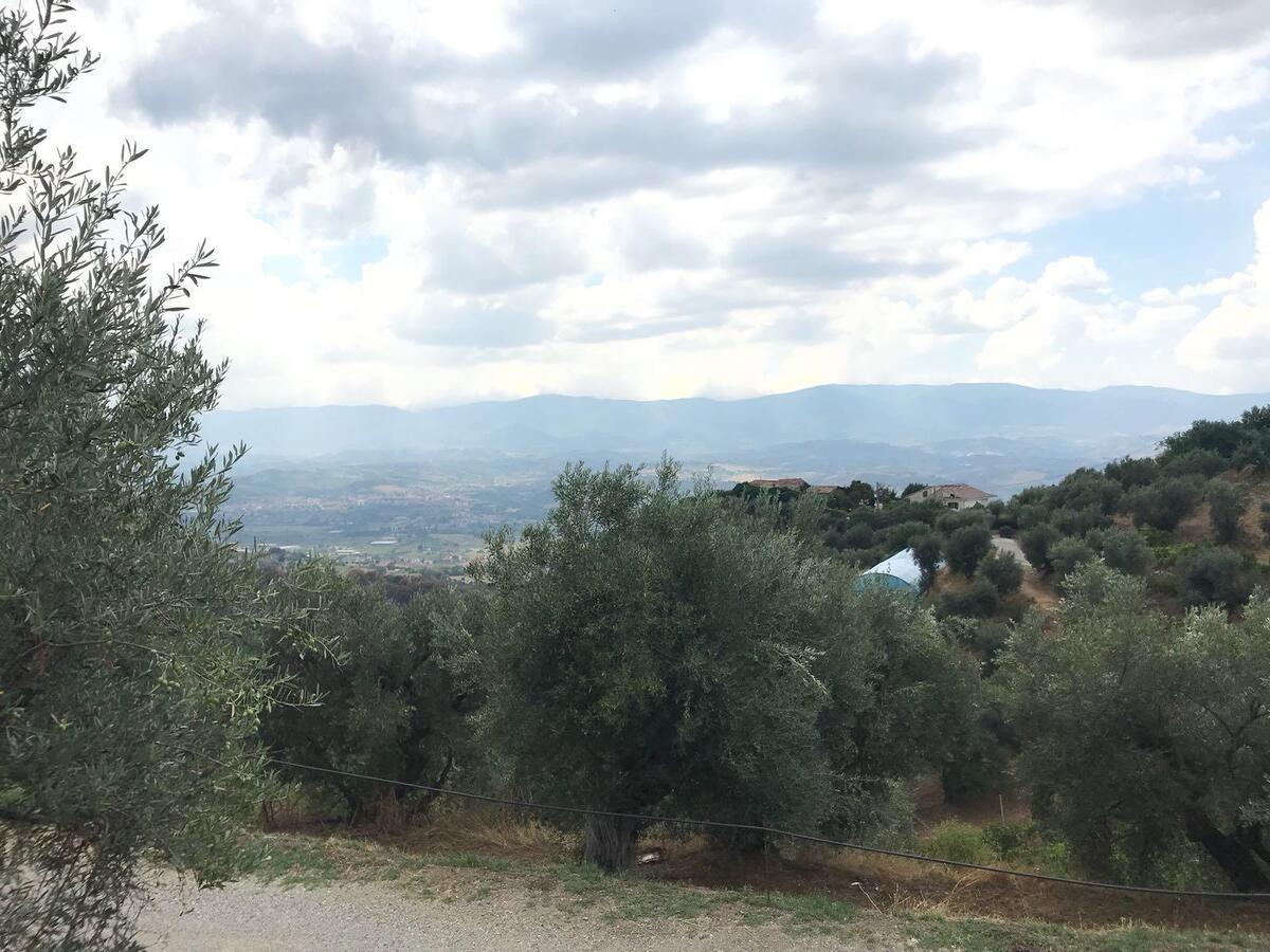 Luzzi Agriturismo Pingitore מראה חיצוני תמונה