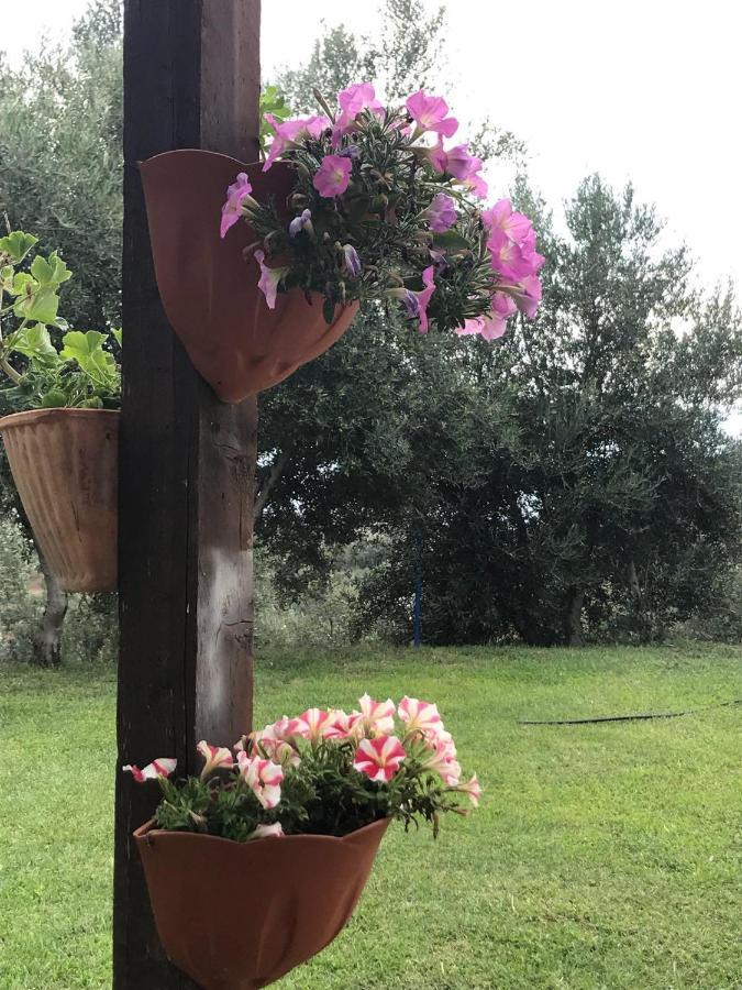 Luzzi Agriturismo Pingitore מראה חיצוני תמונה