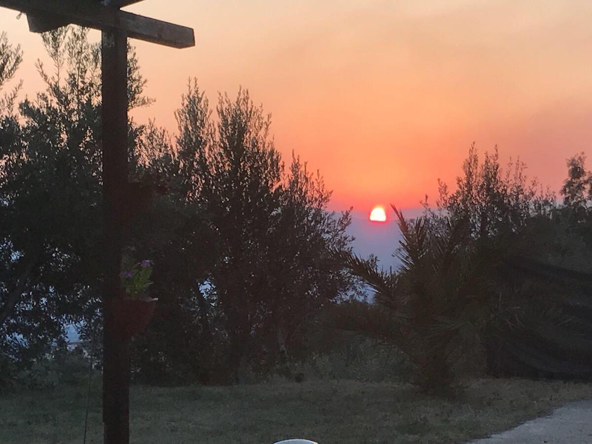 Luzzi Agriturismo Pingitore מראה חיצוני תמונה