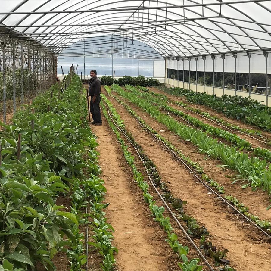 Luzzi Agriturismo Pingitore מראה חיצוני תמונה