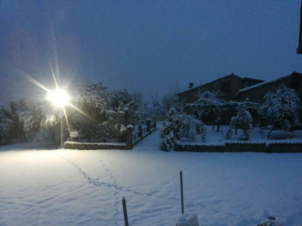 Luzzi Agriturismo Pingitore מראה חיצוני תמונה