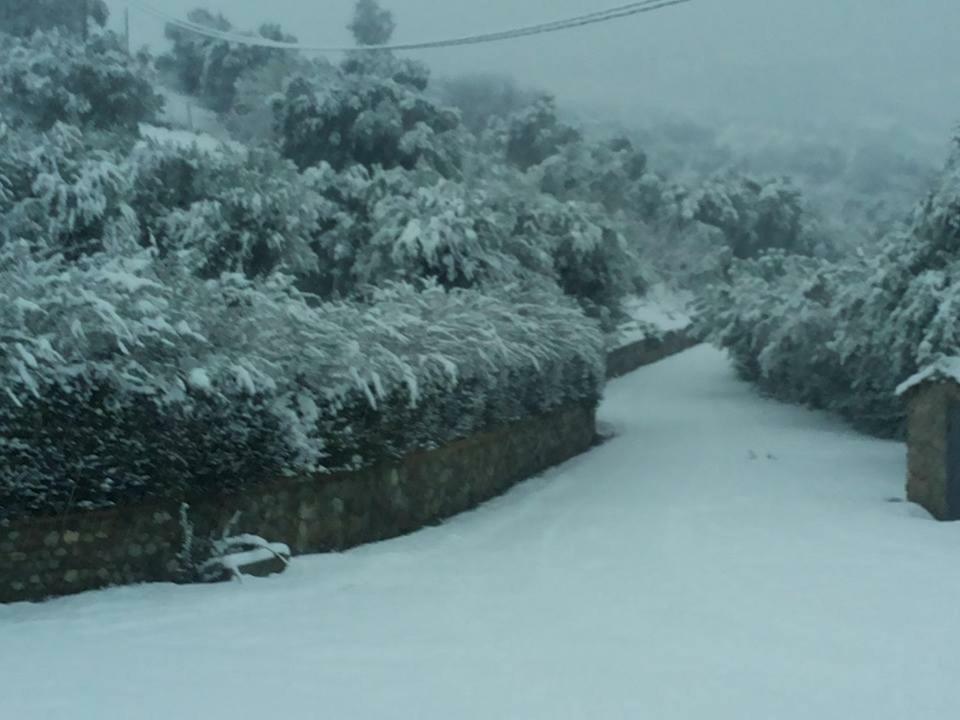 Luzzi Agriturismo Pingitore מראה חיצוני תמונה